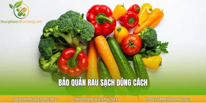 Bảo quản rau sạch đúng cách