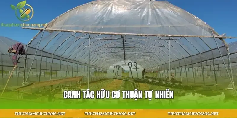 Canh tác hữu cơ thuận tự nhiên