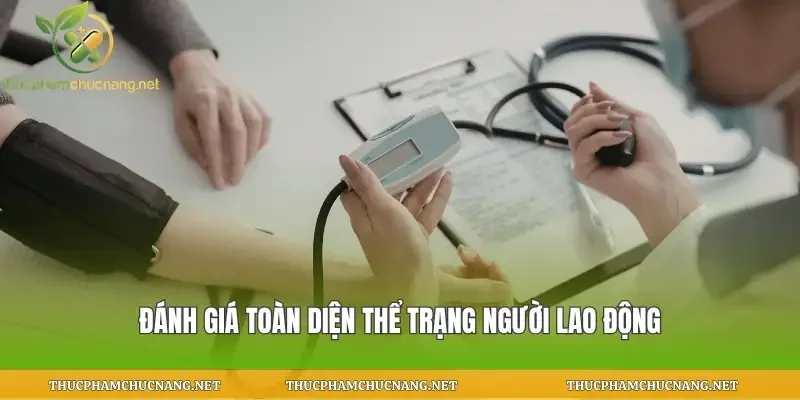 Đánh giá toàn diện thể trạng người lao động