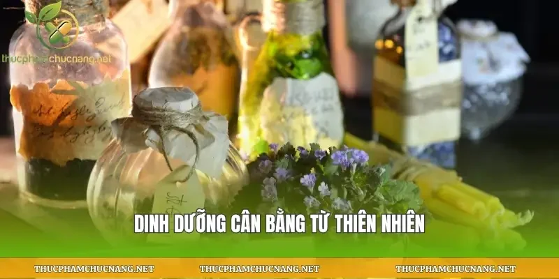 Dinh dưỡng cân bằng từ thiên nhiên