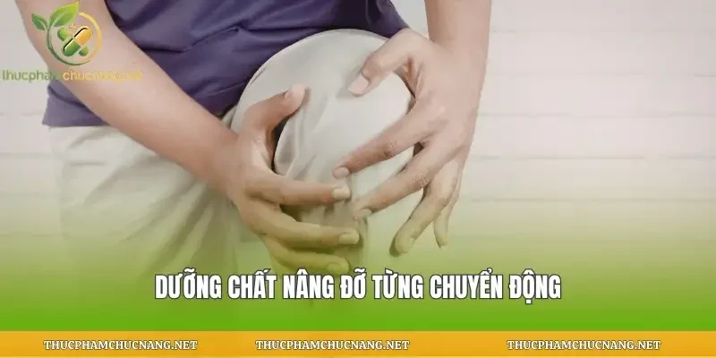 Dưỡng chất nâng đỡ từng chuyển động