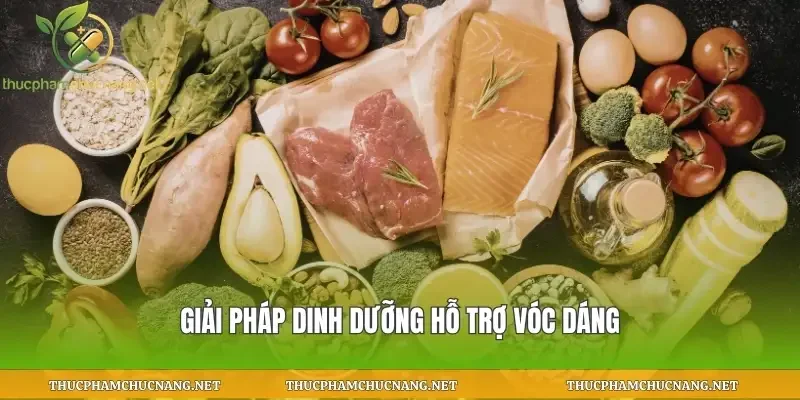 Giải pháp dinh dưỡng hỗ trợ vóc dáng