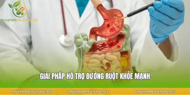 Giải pháp hỗ trợ đường ruột khỏe mạnh
