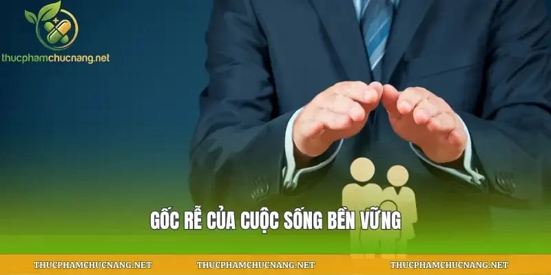 Gốc rễ của cuộc sống bền vững