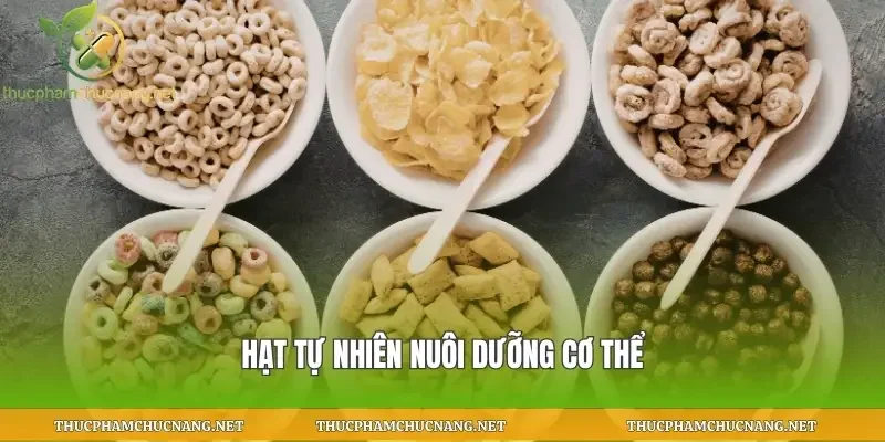 Hạt tự nhiên nuôi dưỡng cơ thể