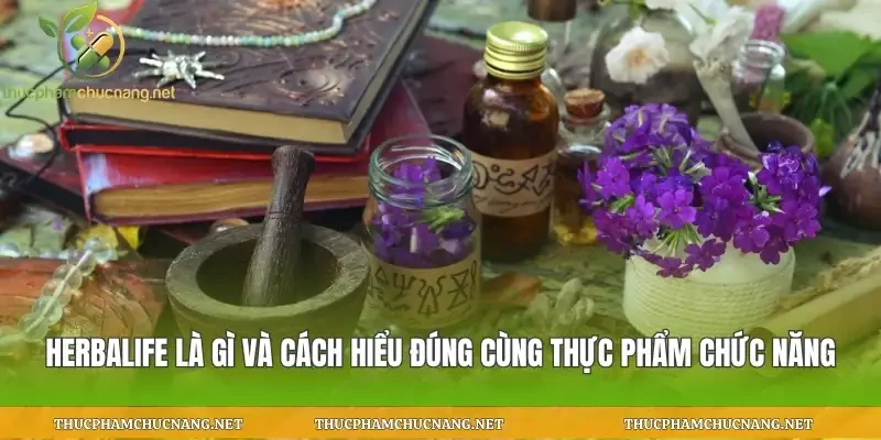 Herbalife Là Gì Và Cách Hiểu Đúng