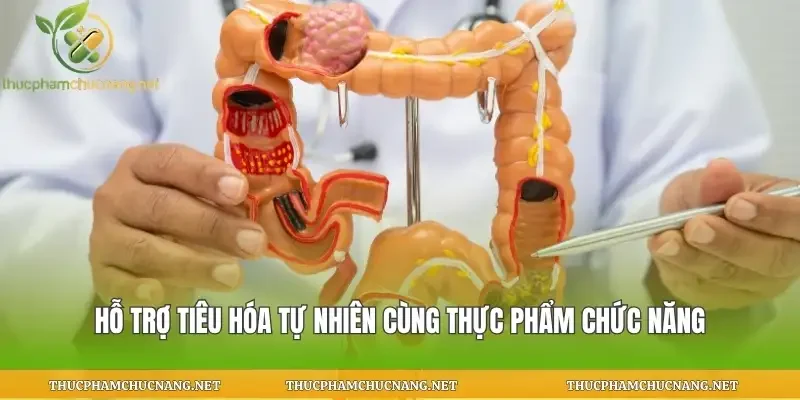 Hỗ Trợ Tiêu Hóa Tự Nhiên