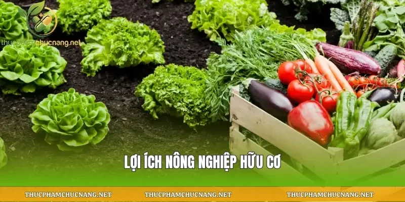 Lợi ích nông nghiệp hữu cơ