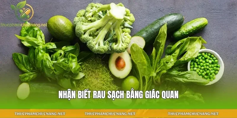 Nhận biết rau sạch bằng giác quan