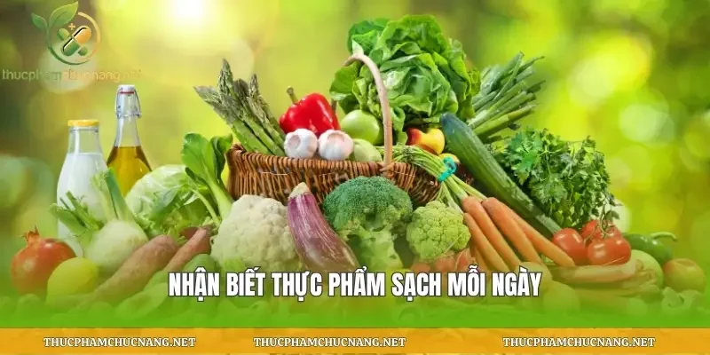 Nhận biết thực phẩm sạch mỗi ngày