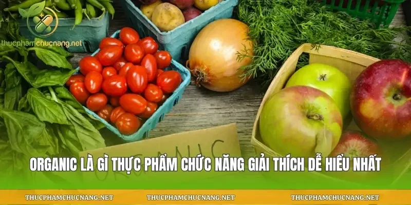 Organic Là Gì Thực Phẩm Chức Năng