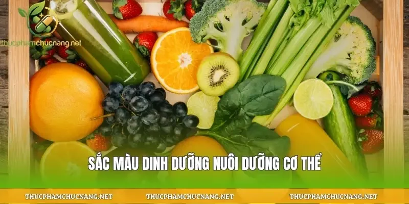 Sắc màu dinh dưỡng nuôi dưỡng cơ thể