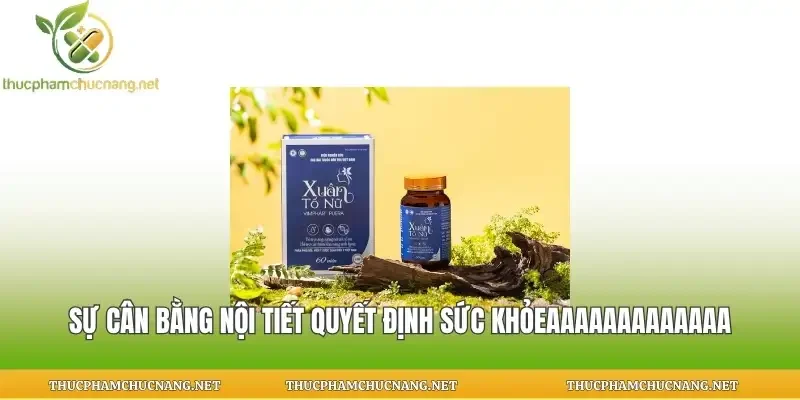 Sự cân bằng nội tiết quyết định sức khỏe