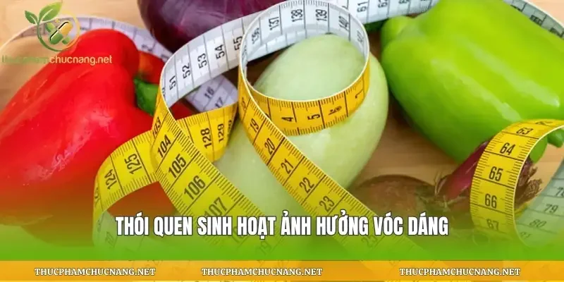 Thói quen sinh hoạt ảnh hưởng vóc dáng