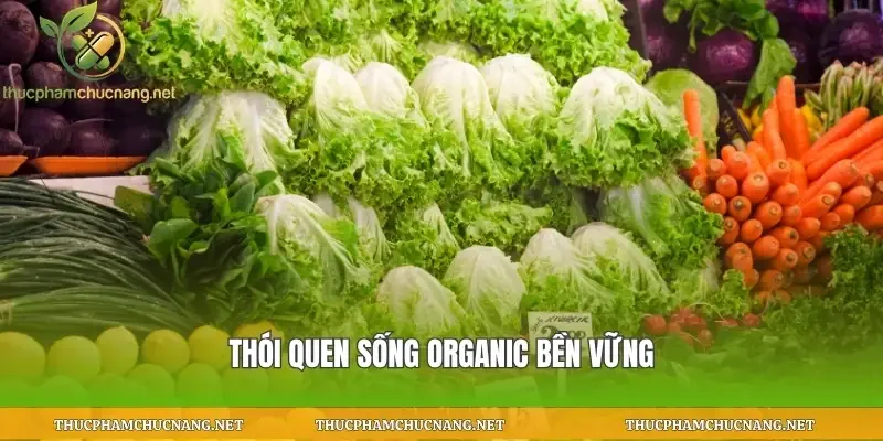 Thói quen sống organic bền vững