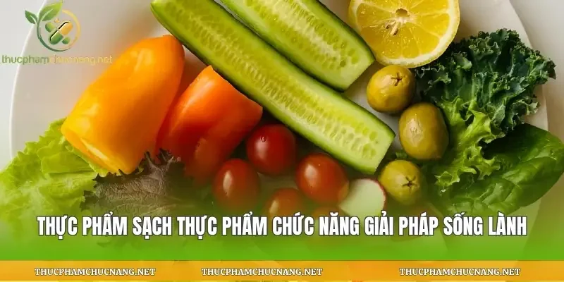 Thực Phẩm Sạch Thực Phẩm Chức Năng