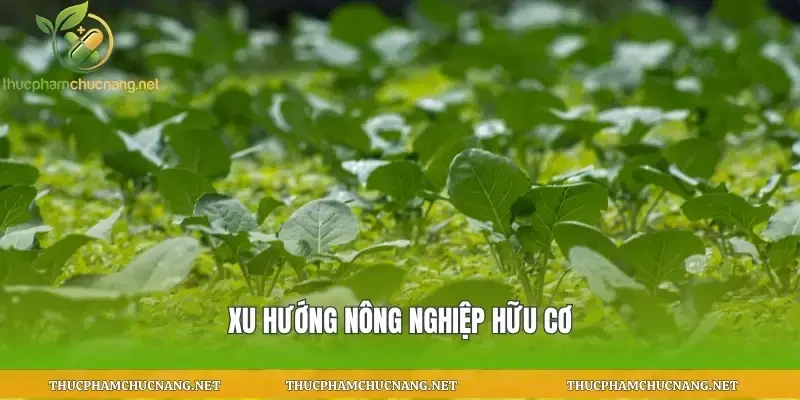 Xu hướng nông nghiệp hữu cơ